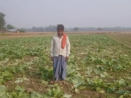 गोभी का फसल बर्बाद कर जान से मारने की दिया धमकी