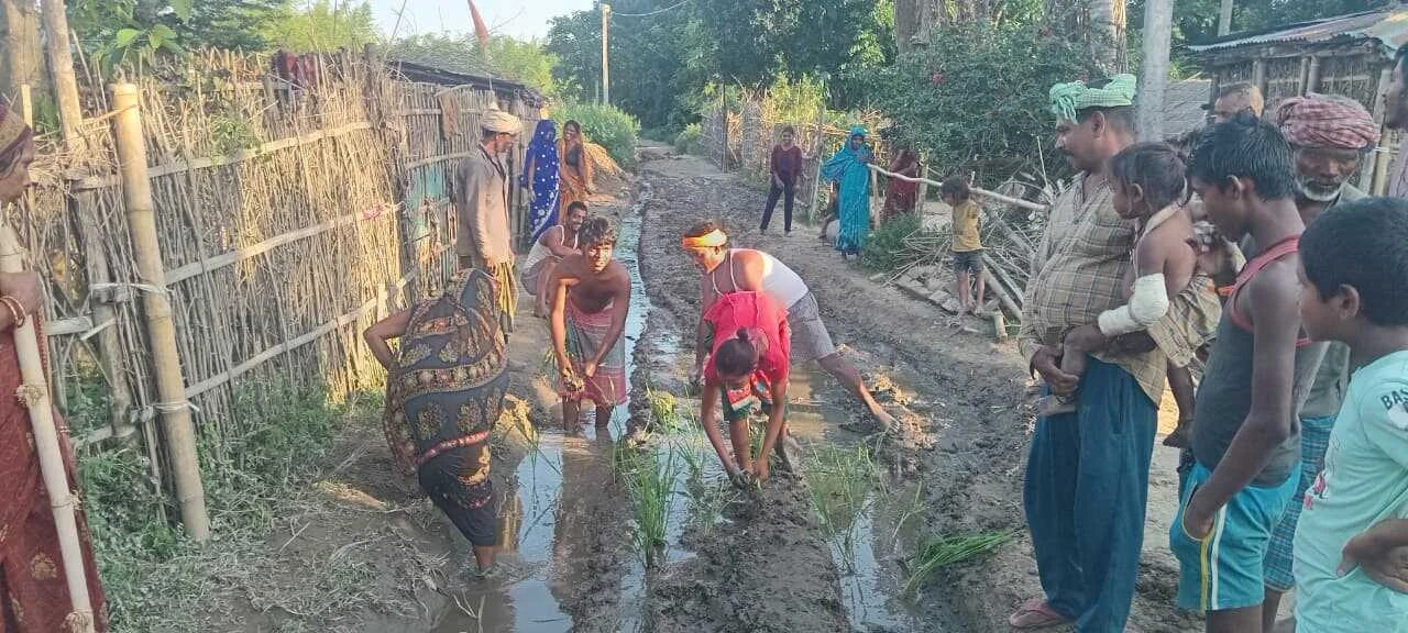 सड़क की बदहाली पर फूटा ग्रामीणों का गुस्सा, कीचड़ भरी सड़क पर धान रोपकर किया विरोध प्रदर्शन