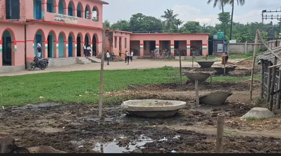 मधेपुरा में 13 साल से तबेले में तब्दील स्कूल, कैंपस में बंध रही गाय-भैंस, बच्चों के खेल मैदान पर रखा है 17 नाद