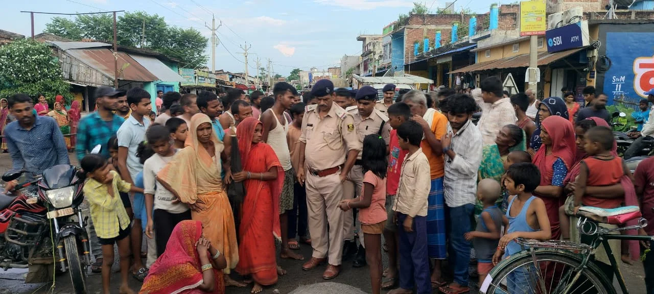 हाईटेंशन करंट की चपेट में आने से भैंस और सूअर की मौत, ग्रामीणों ने सड़क जाम कर किया प्रदर्शन